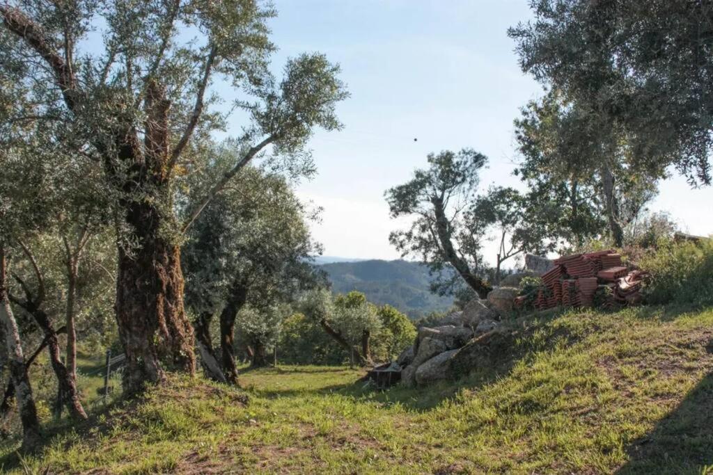 Cantinho Da Pereira Ferienhaus *